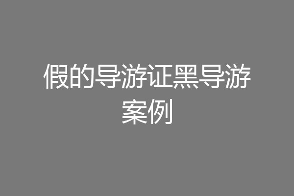 假的导游证黑导游案例