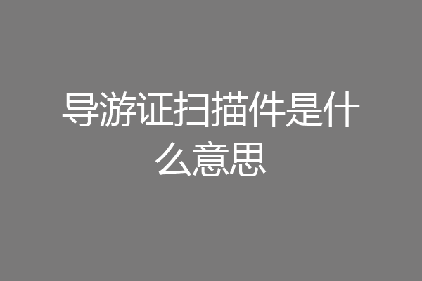 导游证扫描件是什么意思