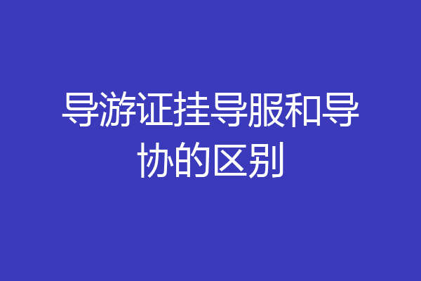 导游证挂导服和导协的区别
