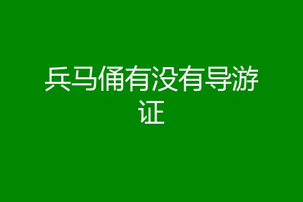 兵马俑有没有导游证