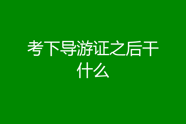 考下导游证之后干什么