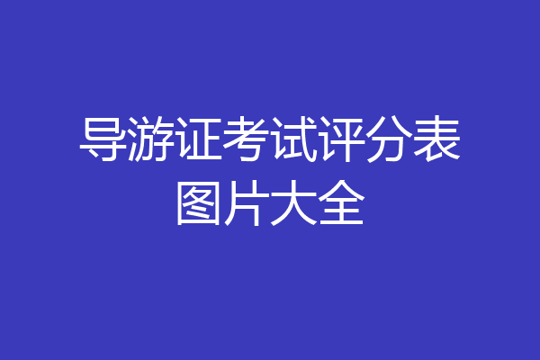 导游证考试评分表图片大全