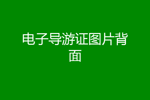 电子导游证图片背面