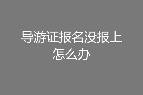 导游证报名没报上怎么办