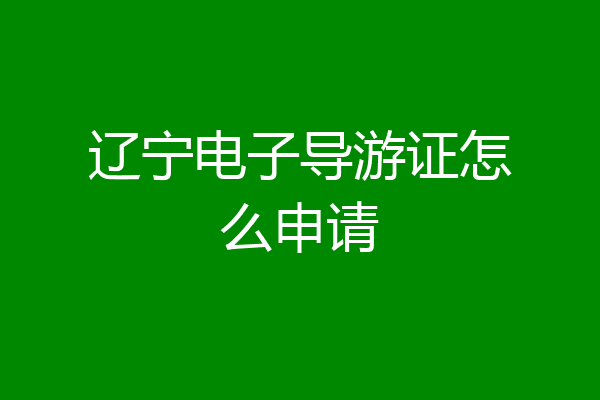辽宁电子导游证怎么申请