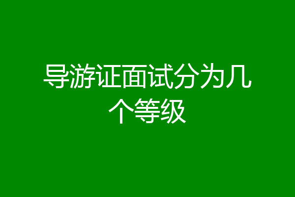 导游证面试分为几个等级