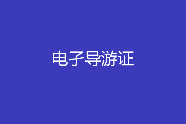 电孑导游证
