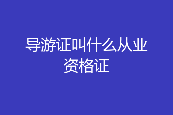 导游证叫什么从业资格证