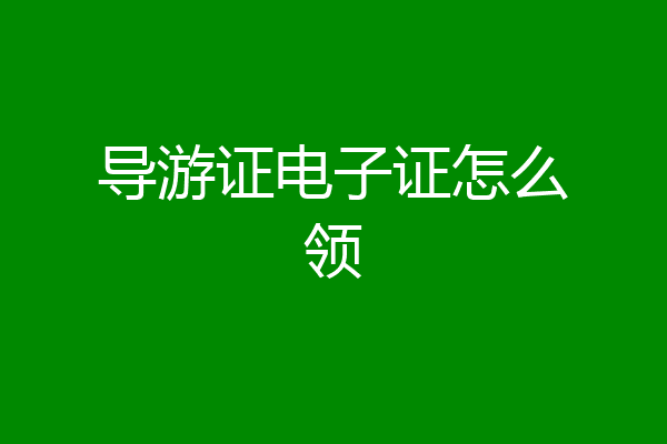 导游证电子证怎么领