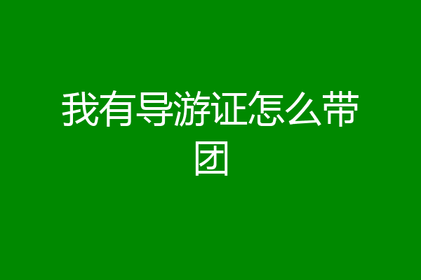我有导游证怎么带团
