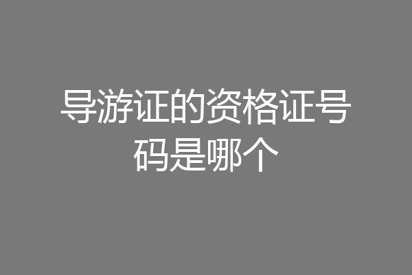导游证的资格证号码是哪个