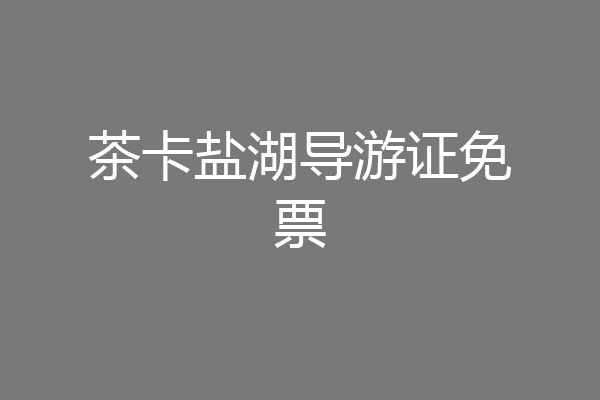 茶卡盐湖导游证免票