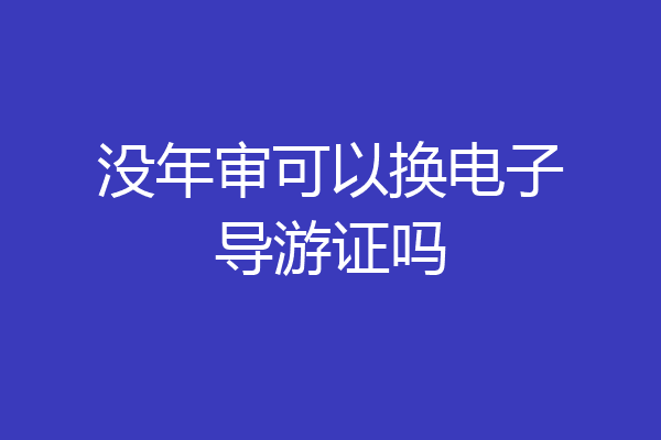 没年审可以换电子导游证吗