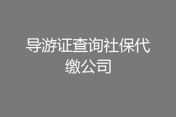 导游证查询社保代缴公司