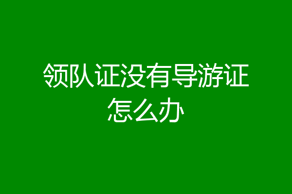 领队证没有导游证怎么办
