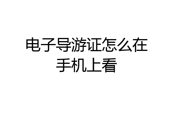 电子导游证怎么在手机上看
