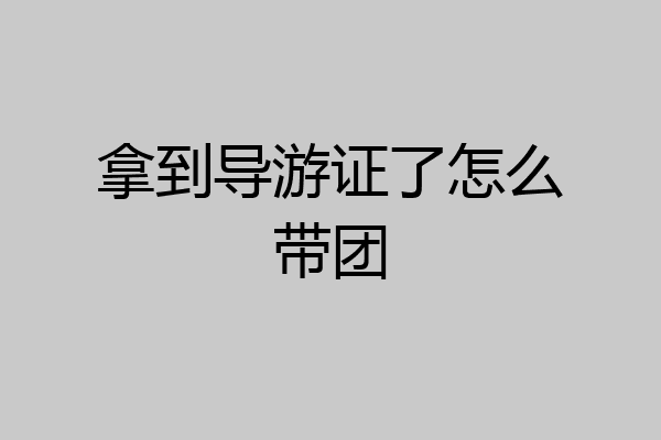 拿到导游证了怎么带团