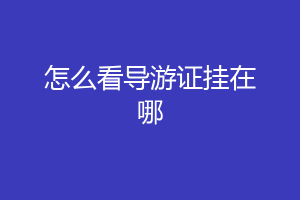 怎么看导游证挂在哪