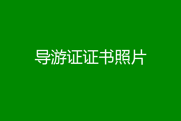 导游证证书照片