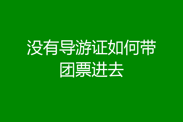 没有导游证如何带团票进去