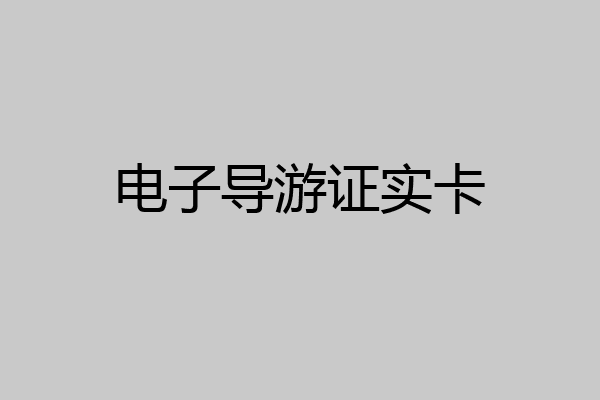 电子导游证实卡