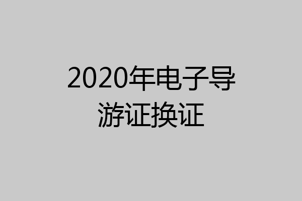 2020年电子导游证换证