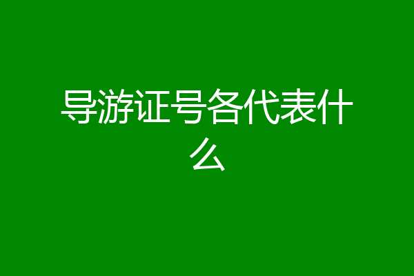 导游证号各代表什么