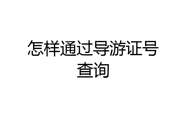 怎样通过导游证号查询