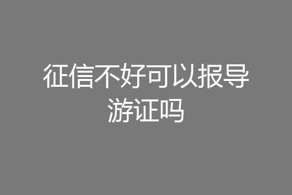 征信不好可以报导游证吗