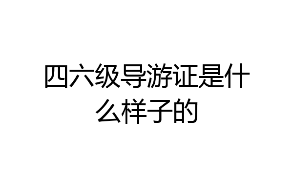 四六级导游证是什么样子的