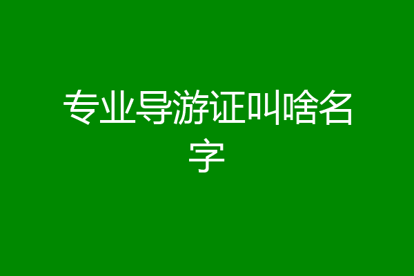专业导游证叫啥名字