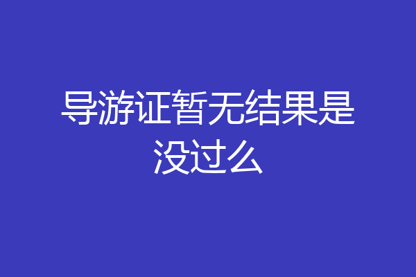 导游证暂无结果是没过么