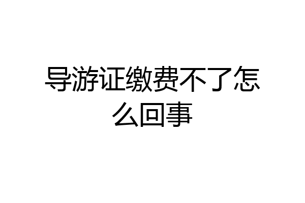 导游证缴费不了怎么回事