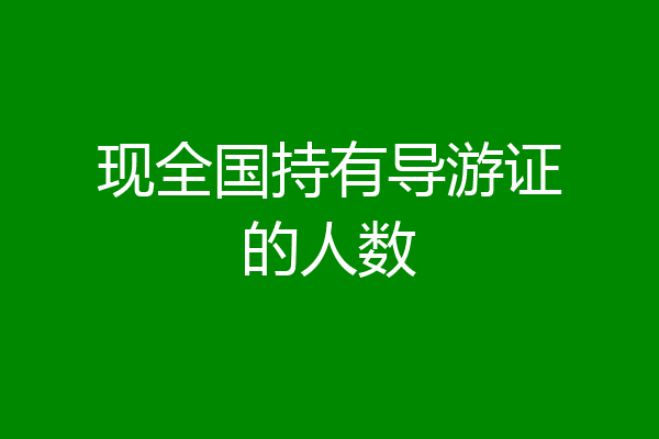 现全国持有导游证的人数