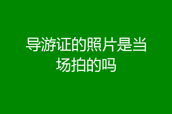 导游证的照片是当场拍的吗