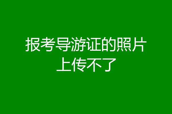 报考导游证的照片上传不了