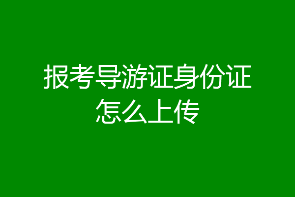 报考导游证身份证怎么上传