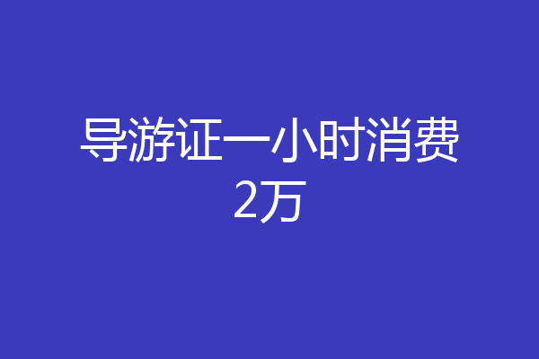 导游证一小时消费2万