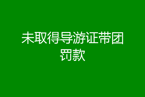 未取得导游证带团罚款