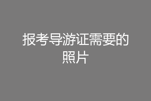 报考导游证需要的照片