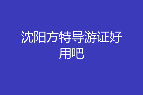 沈阳方特导游证好用吧