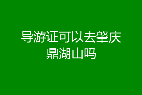 导游证可以去肇庆鼎湖山吗
