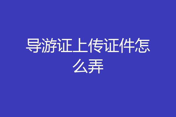 导游证上传证件怎么弄