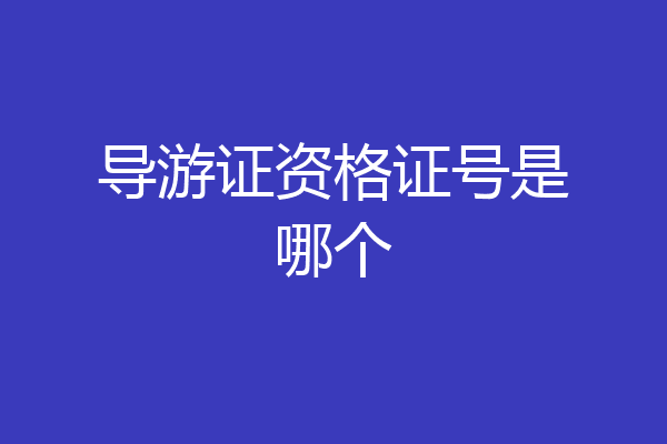 导游证资格证号是哪个