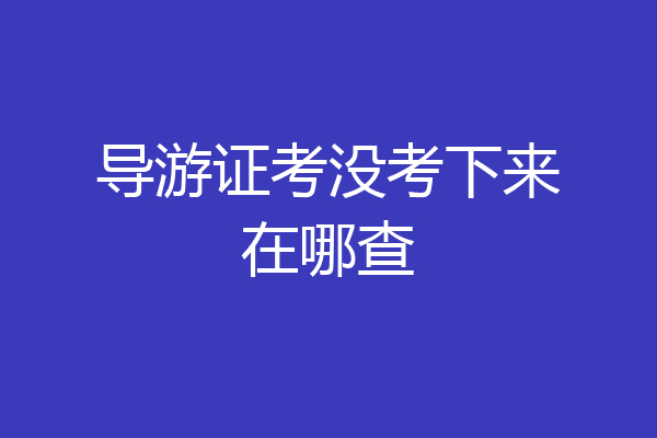 导游证考没考下来在哪查