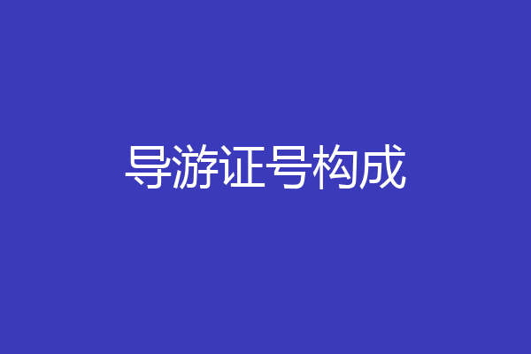 导游证号构成