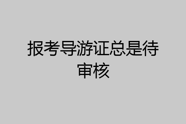 报考导游证总是待审核