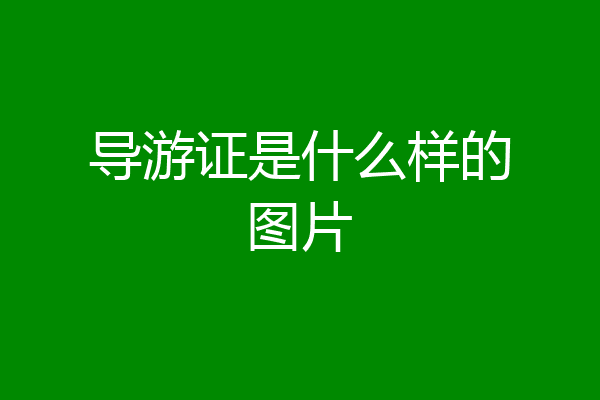 导游证是什么样的图片