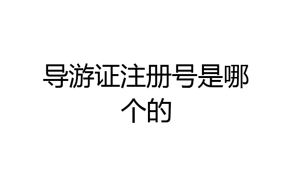 导游证注册号是哪个的