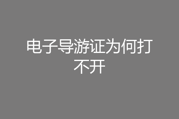 电子导游证为何打不开